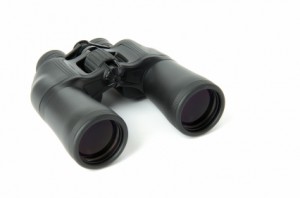 Are you looking out for fraud?